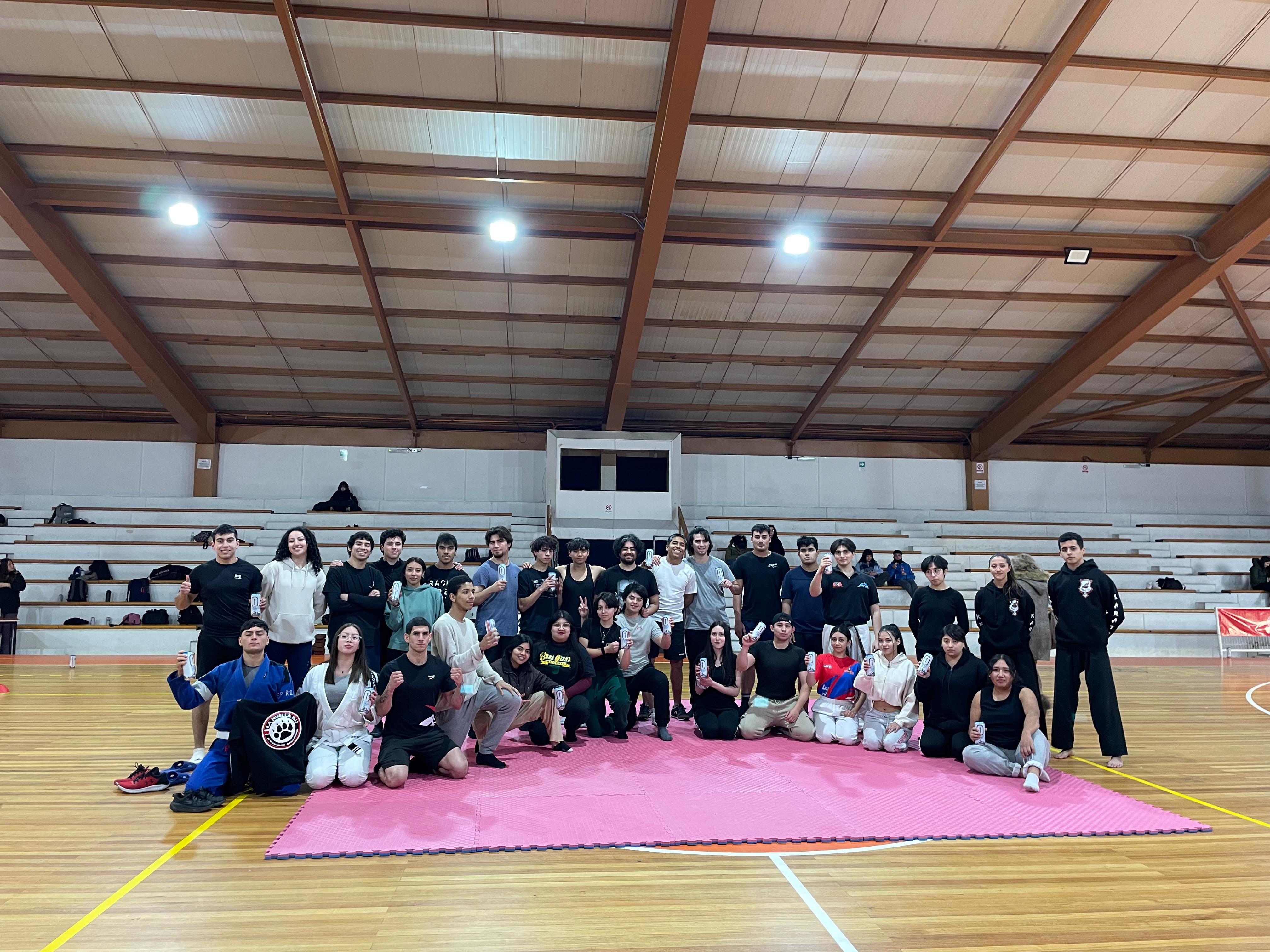Imagen de Clínica de deportes de combate